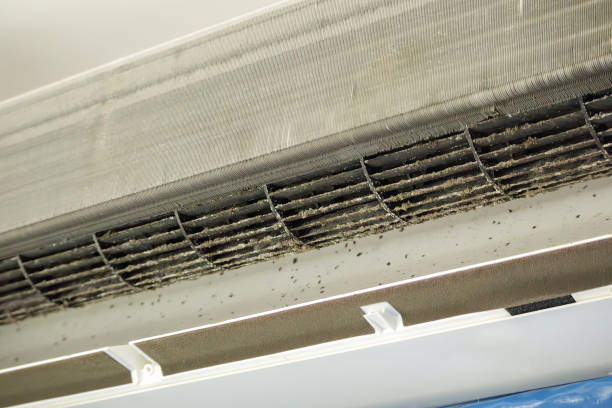 Best HVAC Duct Inspection Services  in Maple Bluff, WI